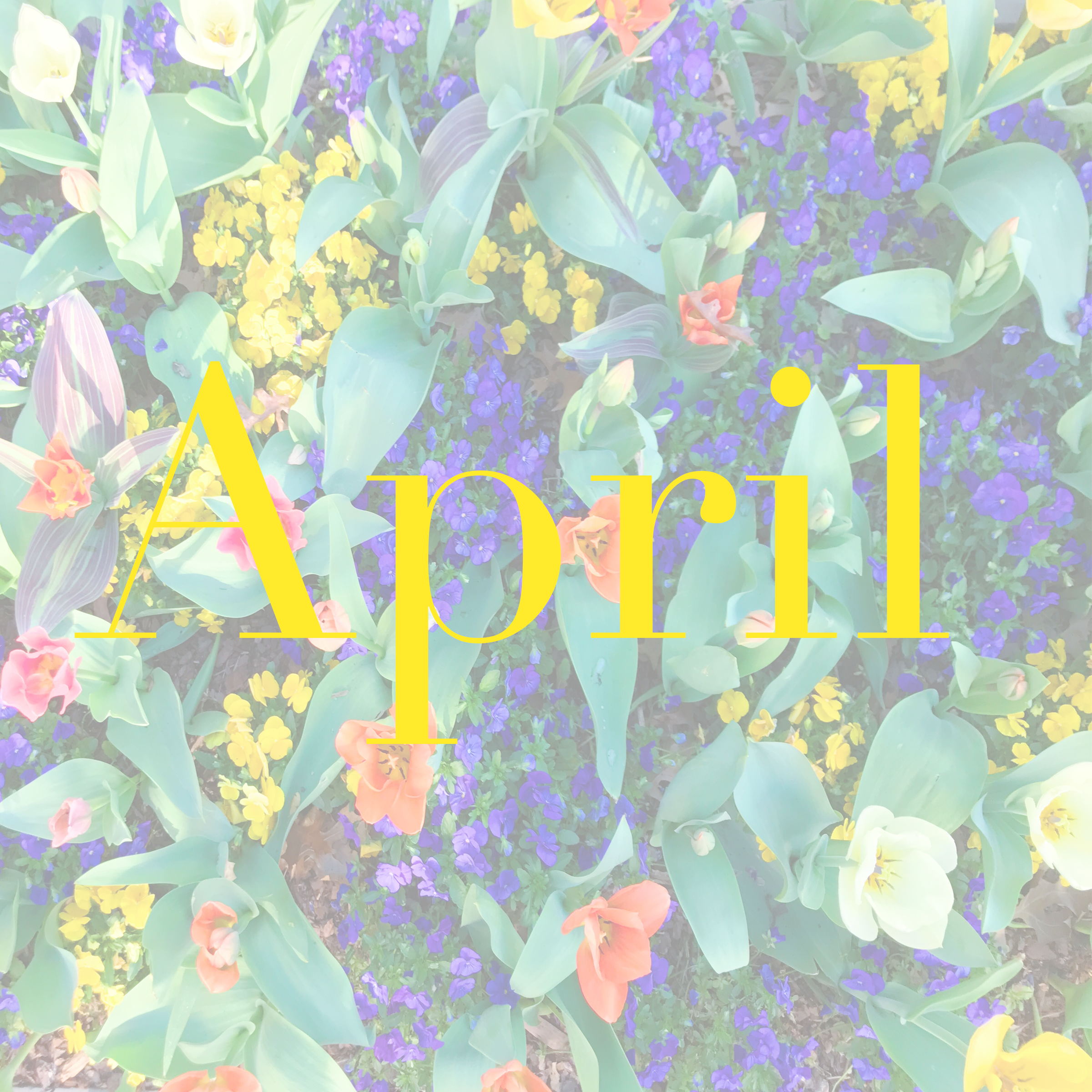 Month by Month~ April